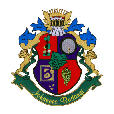 Logo Budanyi